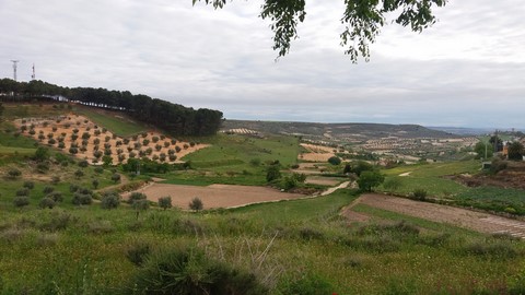 Paisaje